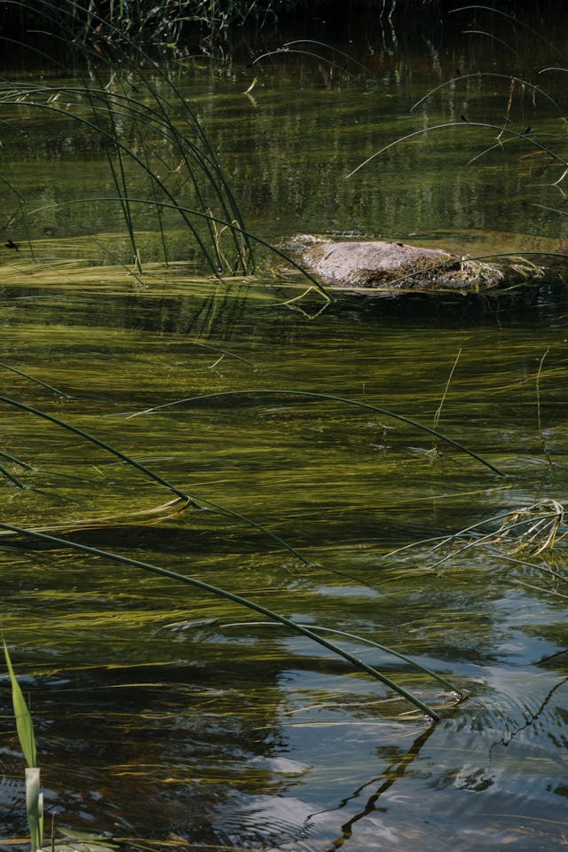 Less Rush, More Rhythm: The First 30 Minutes