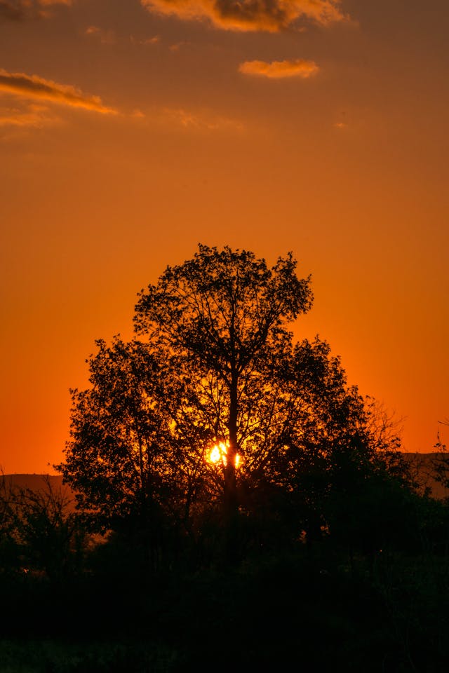 Hot Flashes and Cool Ideas for Evenings