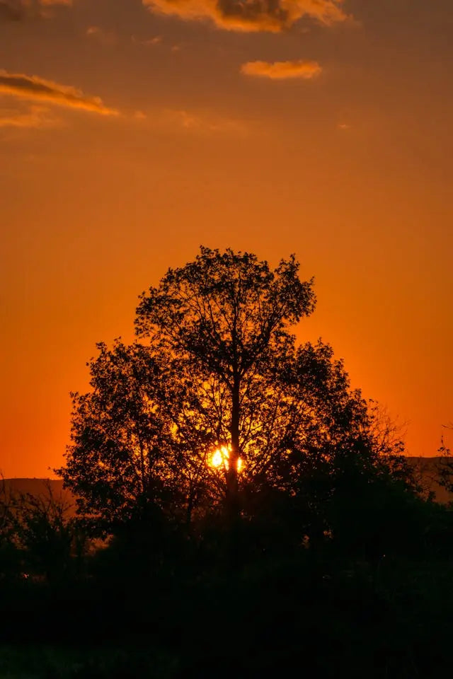 Hot-Flashes-and-Cool-Ideas-for-Evenings Earthbound™