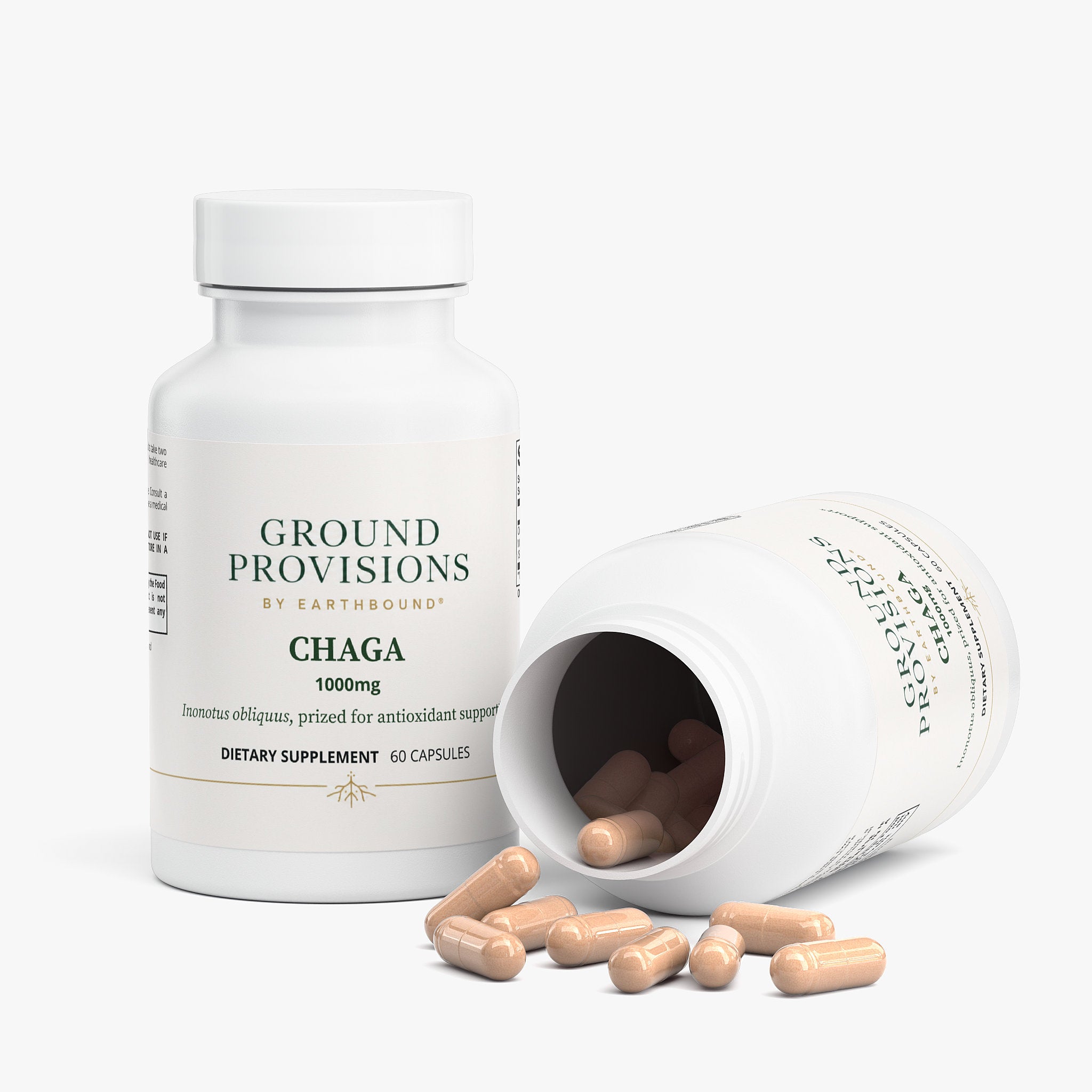 Chaga Mushroom (Capsules)