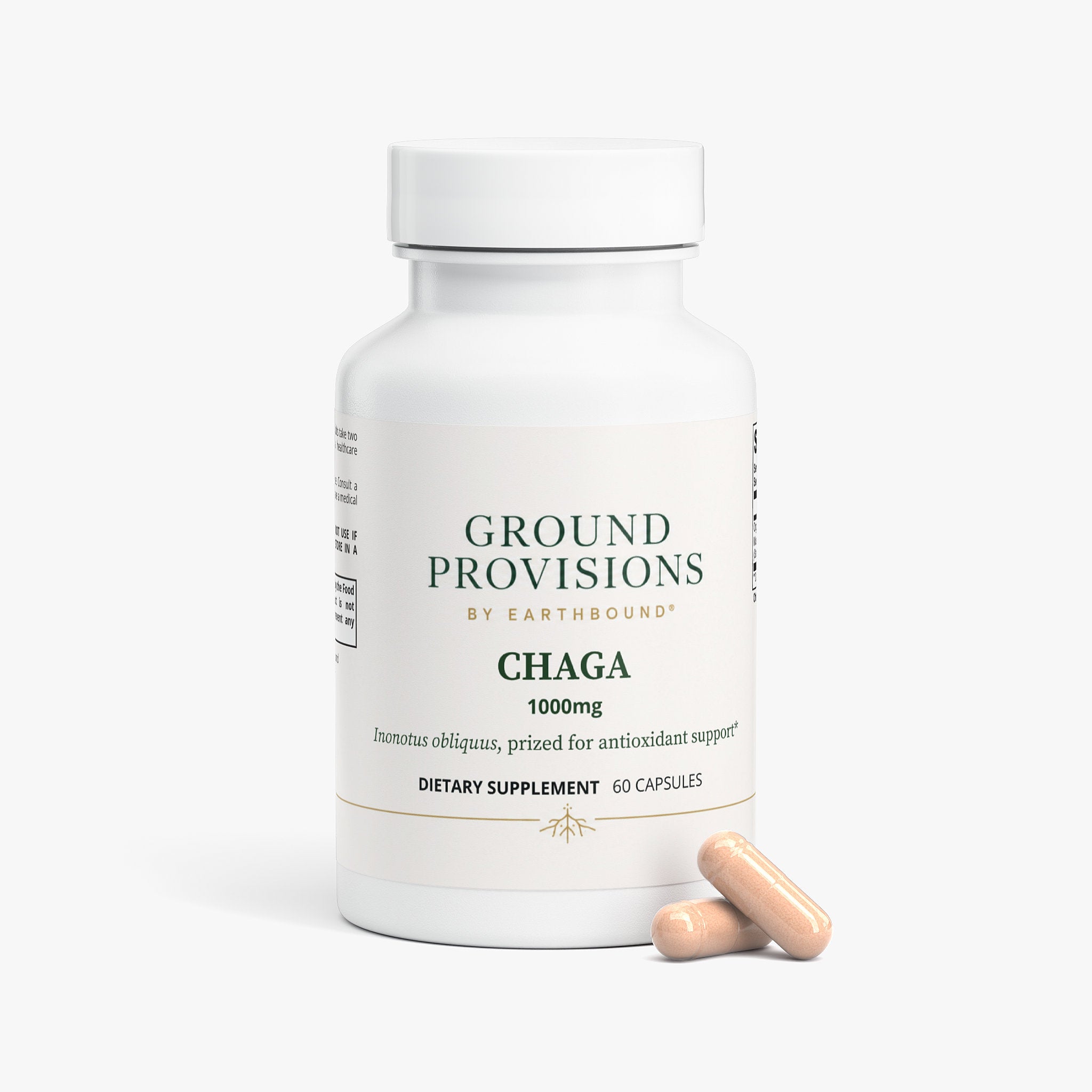 Chaga Mushroom (Capsules)