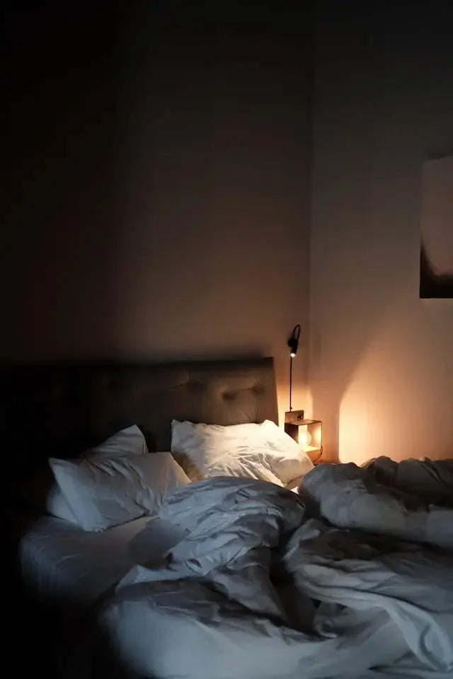 Dimmer-Switch-Wisdom-Gentle-Light-Gentler-Nights Earthbound™