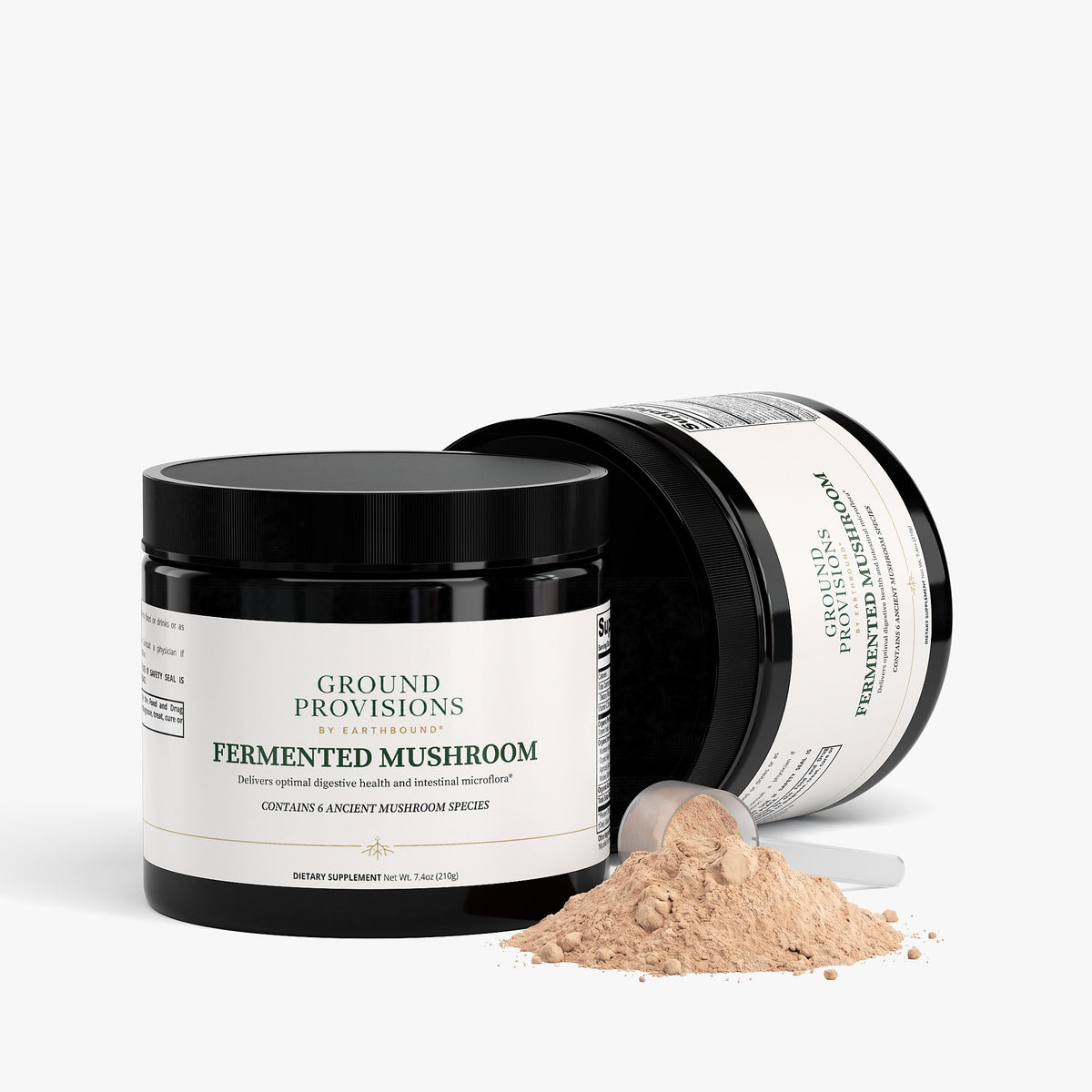 Feed your gut, fortify your defenses