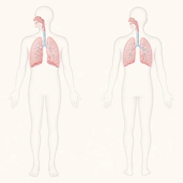Respiratory system — grounding may support overall recovery and oxygenation