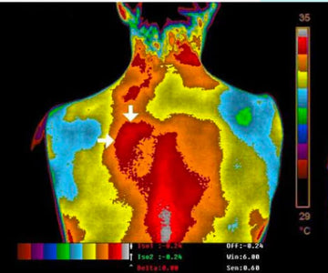 Down To Ground Mattress Cover 16 Thermography days fotor 202407132027